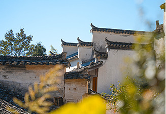白墙灰瓦的传统村落建筑