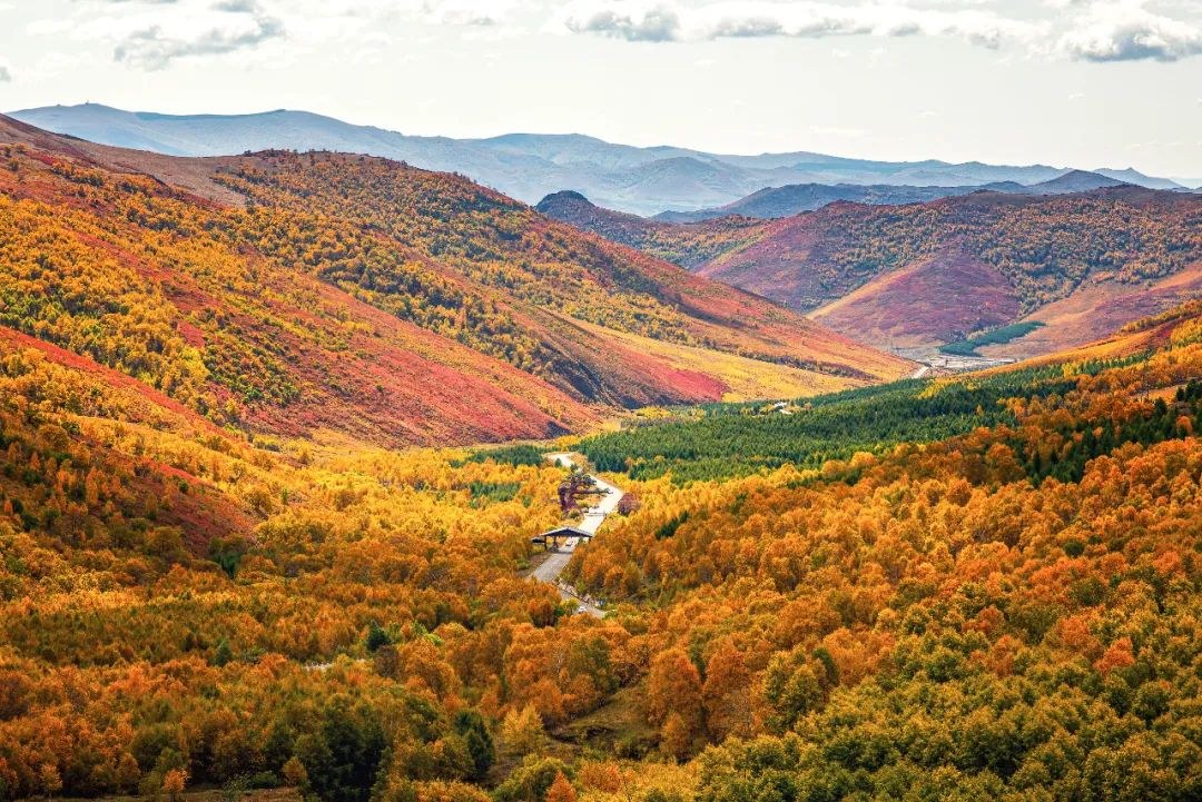 秋色山谷里的蜿蜒道路