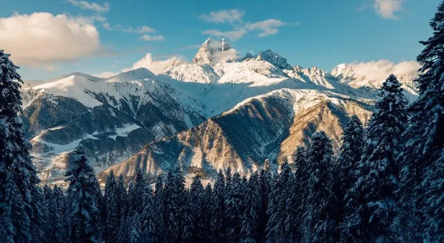 林木前方的雪山群峰