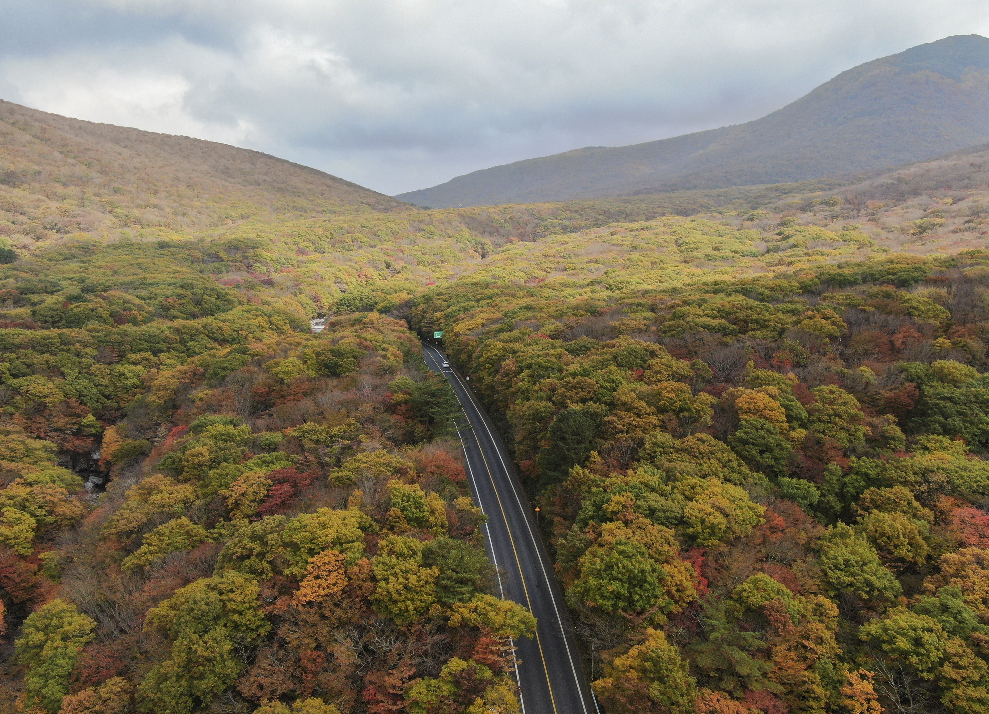 秋色山地中的公路