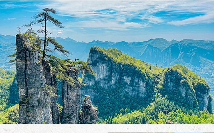 岩柱上的树木与远处群山